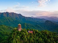 -桤木河湿地公园