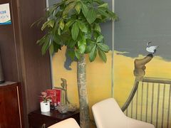 -江仙雅居(中航国际店)