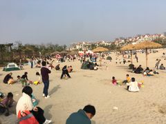 -九龙湖公园