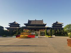 -大槐树寻根祭祖园