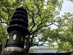 -普陀山风景名胜区-法雨禅寺
