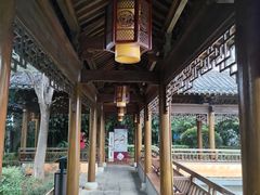 -绳金塔