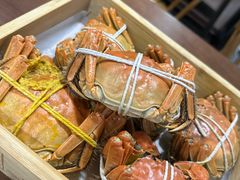 -黄记大闸蟹专卖店·活蟹·醉蟹