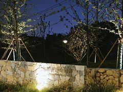 -七桥瓮公园