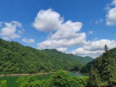 -黄山太平湖风景区