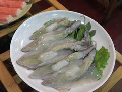 -东镇老火锅(长春路首店)