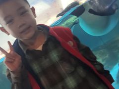 -海合安武汉极地海洋公园
