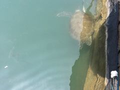 -海上驿站渔家菜馆