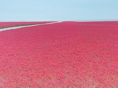 -红海滩国家风景廊道
