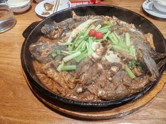 -老板恋上鱼(恒隆广场店)