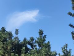 -八仙过海景区