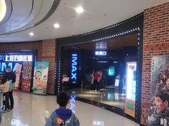 -SFC上影百联影城(川沙IMAX店)