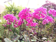 -兰陵国家农业公园