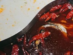 -麻田会 ·鲜活现烹·牛蛙火锅(珠江新城维家思广场店)