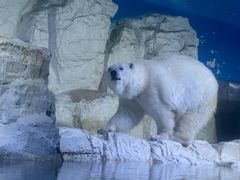 -大连老虎滩海洋公园