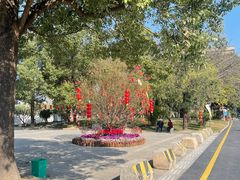 -均和墟历史街区-平和大押