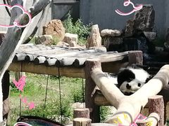 -棋盘山风景区