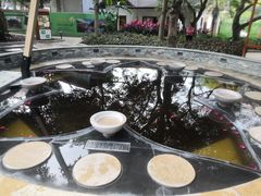 -碧水湾温泉
