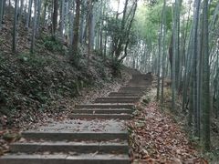 -西湖风景区十里琅珰-五云山