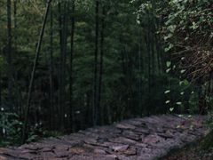 -丹山赤水风景名胜区