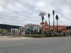 -打洛口岸