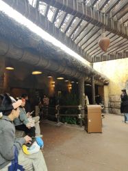 -翱翔飞越地平线