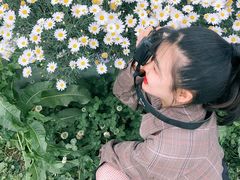 -三圣花乡旅游区