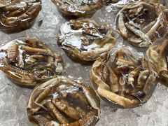 -铭聚章鱼土笋冻(松柏店)