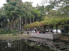 -深圳国际园林花卉博览园