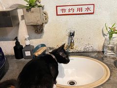-旧天堂书店(华侨城创意文化园南山特色文化街区店)