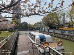 -陈家山荷花公园