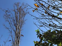 -郑州银基黄帝宫御温泉