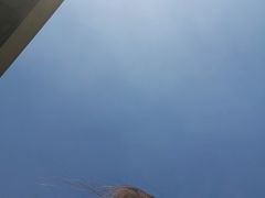 -茶百道(太平门直街店)