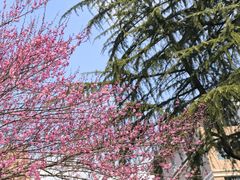 -浙江大学(玉泉校区)