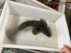 -宾朋海鲜饭庄(兴海路店)