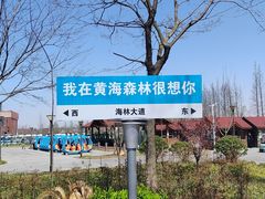 -黄海国家森林公园