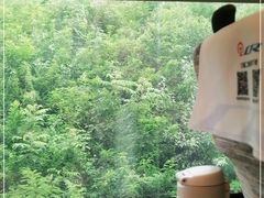-岳阳东站