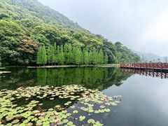 -广州市石门国家森林公园