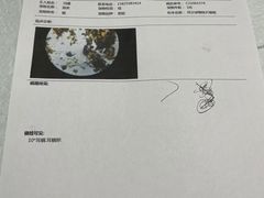 -半岛宠物医院24小时(科华中路店)