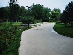 -莲花池公园