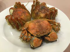 -王宝和酒家(黄浦店)