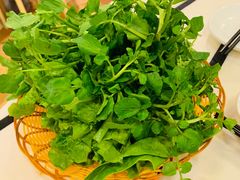 -联胜潮汕牛肉火锅(东苑南路店)