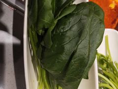 菠菜-海底捞火锅(铂澜大象城店)
