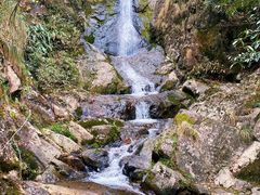 -东天目山风景区