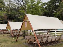 -云栖山谷露营地·团建年会·生日派对