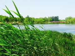 -马家湾湿地公园