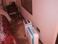 -卓正国际酒店·膳衡食府