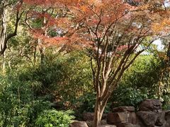 -莹珠阁·私房菜