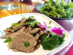 -梧桐人家中国太平国际健康颐养社区