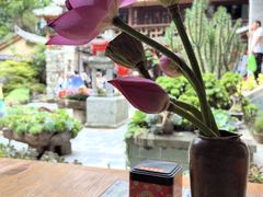 -寂照庵